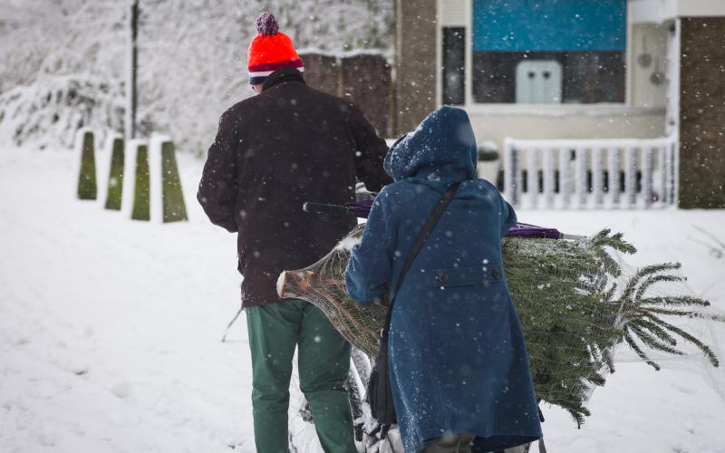 Man en vrouw met kerstboom op de fiets