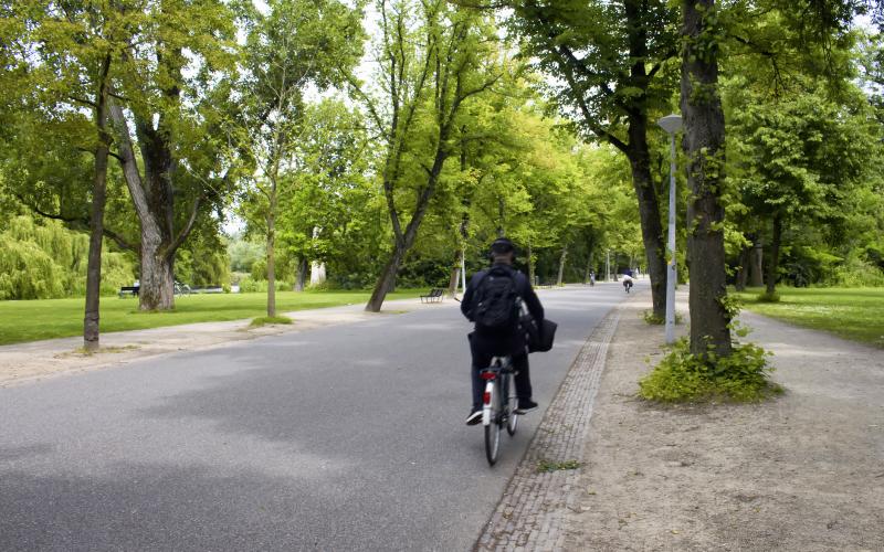 Man op fiets door het park