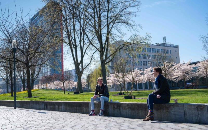 twee jongens zitten in het park